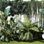 Tropical Oasis Plant Collection 3D model small image 5