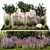 Citrus Collection with Lavender & Ornamental Grasses 3D model small image 1