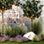 Citrus Collection with Lavender & Ornamental Grasses 3D model small image 4