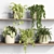 Modern Style Plant Shelf Display 3D model small image 2