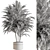 Tropical Majesty Palm Tree 3D model small image 5