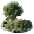 Botanical Beauty Outdoor Plants Display 3D model small image 4