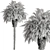 Exotic Windmill Palm Tree Set 3D model small image 3