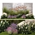 Lavender Garden Collection Set 3D model small image 8