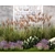 Lavender Garden Collection Set 3D model small image 10