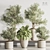 Modern Indoor Plant Set 123 3D model small image 1