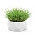 Vray Render Outdoor Plant 3D 3D model small image 11