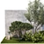 Urban Greenery Collection 1402 3D model small image 2