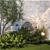 Urban Greenery Collection 1402 3D model small image 6