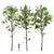 Forest Tree 3D Model Bundle 3D model small image 1