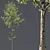 Forest Tree 3D Model Bundle 3D model small image 2