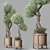 Nature-inspired Indoor Olive Tree Set 3D model small image 4