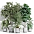 Luxury Plants Collection 1002 3D model small image 1