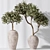 Mission Olive Tree Vase Set 3D model small image 4