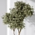 Mission Olive Tree Vase Set 3D model small image 6