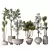 Yucca Olive Indoor Vase Bundle 3D model small image 1