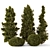 Outdoor Pine Bush Tree Set 3D model small image 1