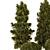 Outdoor Pine Bush Tree Set 3D model small image 2