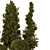 Outdoor Pine Bush Tree Set 3D model small image 4