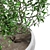 Concrete and Plaster Potted Live Plant 3D model small image 3