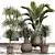 Tropical Palm Plant Collection 3D model small image 1