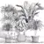 Tropical Palm Plant Collection 3D model small image 6