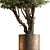 Potted Tree: Indoor Plant 619 3D model small image 3