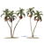 Tropical Palm Tree 3D Model 3D model small image 1