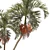 Tropical Palm Tree 3D Model 3D model small image 4