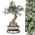 Corona Render Olive Bonsai Model 3D model small image 1