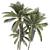 Coconut Palm Tree 3D model small image 2