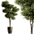 Botanical Beauty - Potted Tree 3D model small image 2