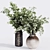  High-Quality Bouquet Indoor Plant 3D model small image 3