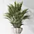 Tropical Indoor Palm Plant Set 3D model small image 2