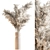 Pampas Dry Plants 106 3D model small image 1