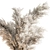 Pampas Dry Plants 106 3D model small image 2