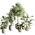 Modern Indoor Plant Set 3D 3D model small image 1