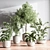 Modern Indoor Plant Set 3D 3D model small image 2