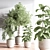 Modern Indoor Plant Set 3D 3D model small image 4