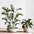 Modern Indoor Plant Set 3D 3D model small image 9