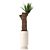 Yucca Indoor Plant 3D Model 3D model small image 6