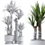 Yucca Indoor Plant 3D Model 3D model small image 7