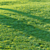 Pro Render Grass Pack 3D model small image 6