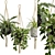 Exotic Indoor Hanging Plant Models 3D model small image 2