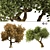 Summer Fall Trees 3D Pack 3D model small image 1