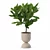 Modern Ficus Lyrata Plant Pot 3D model small image 6