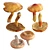 Mushroom Basket Collection - 3D Models 3D model small image 5