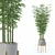 Modern Bamboo Plant in Pot 3D model small image 1