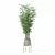 Modern Bamboo Plant in Pot 3D model small image 2