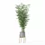 Modern Bamboo Plant in Pot 3D model small image 3